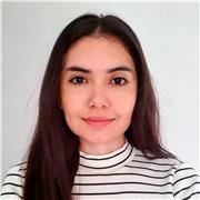 professeur d'espagnol - formateur en télétravail